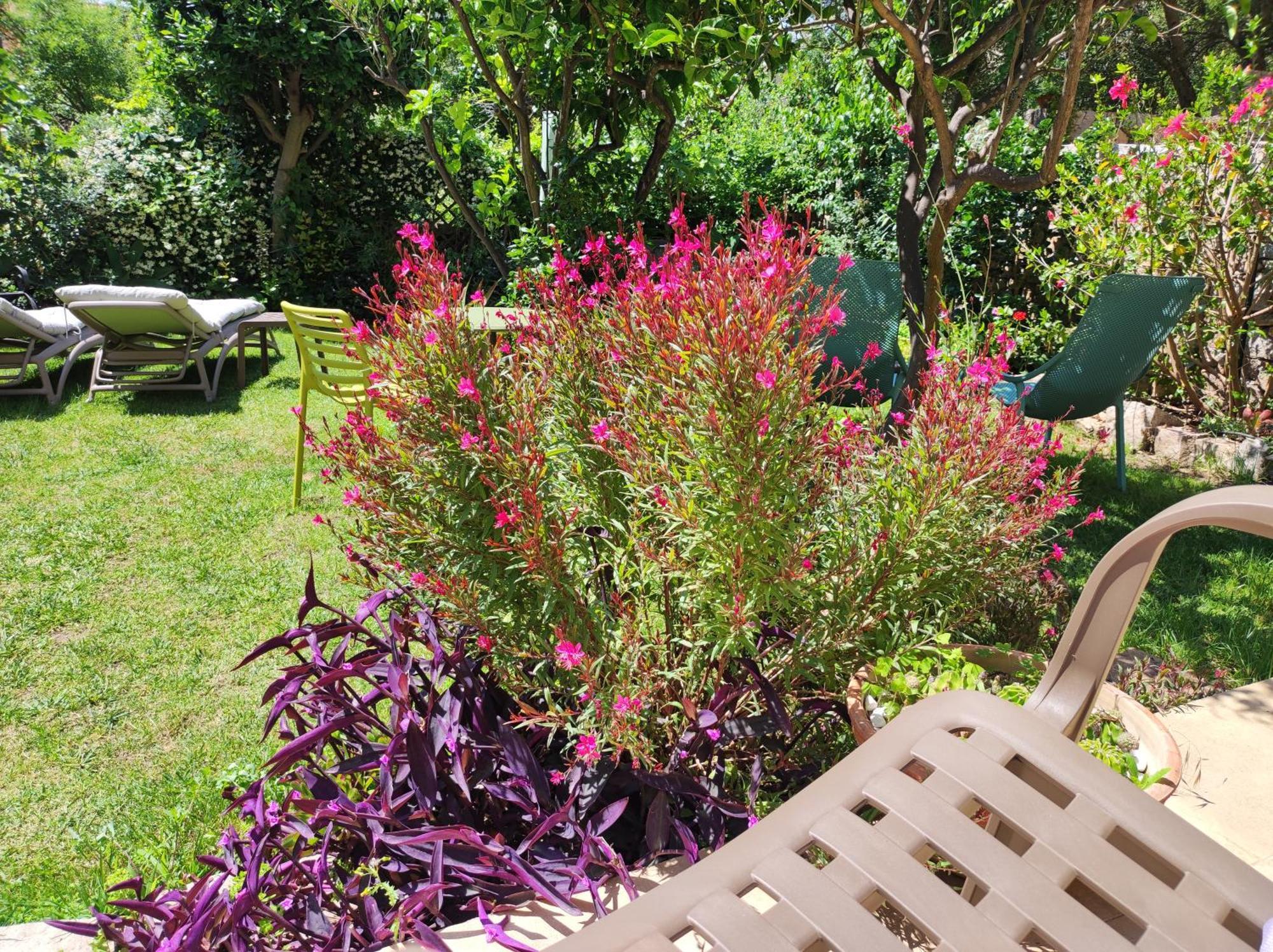 Il Giardino Di Tatiana Rooms & Breakfast La Maddalena  Dış mekan fotoğraf